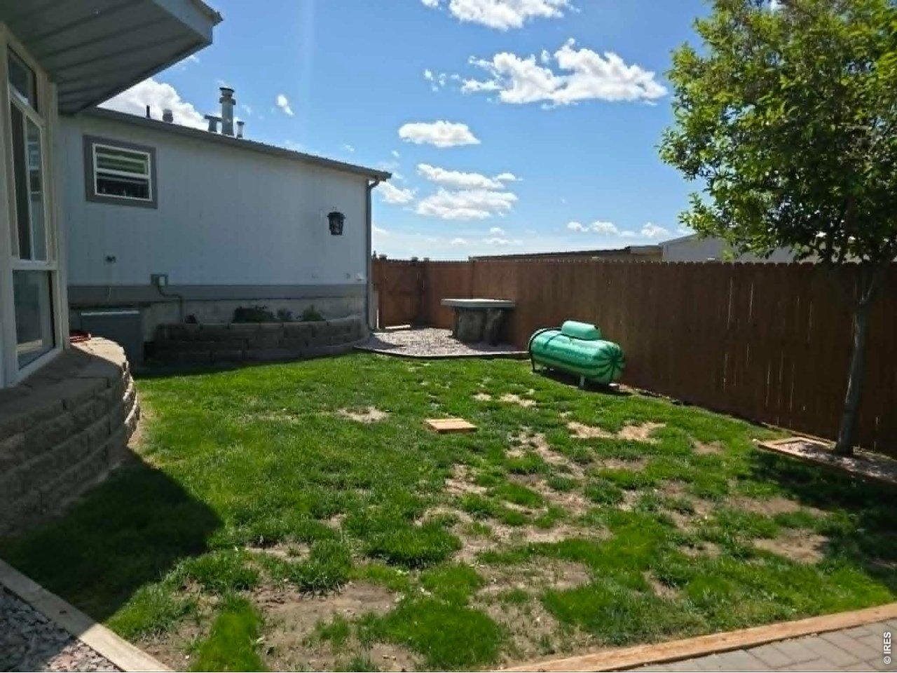 ls2.jpg